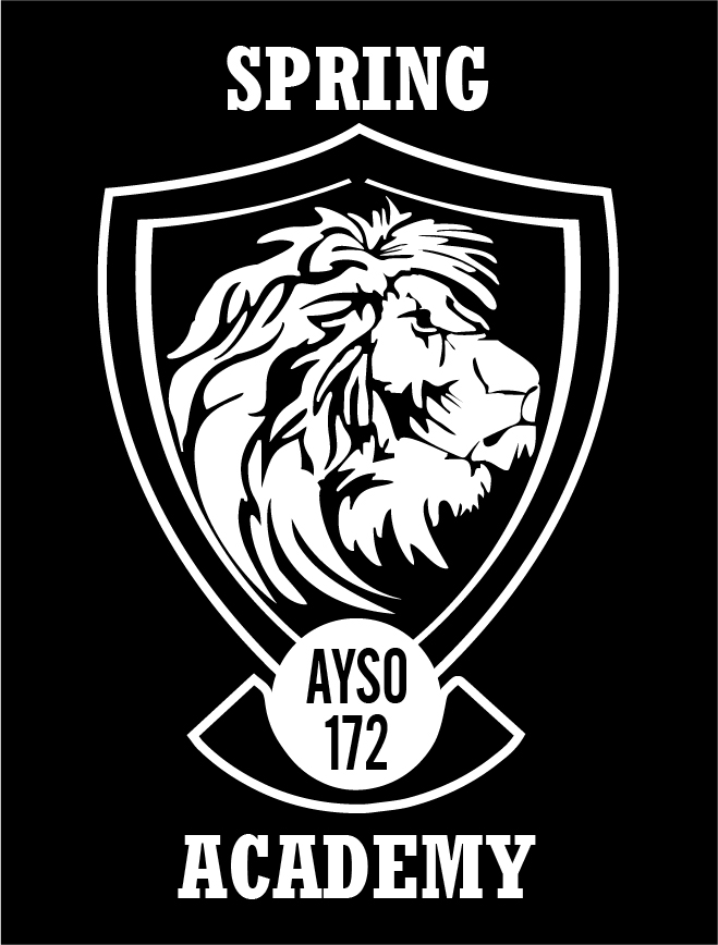 Spring academy 2024
